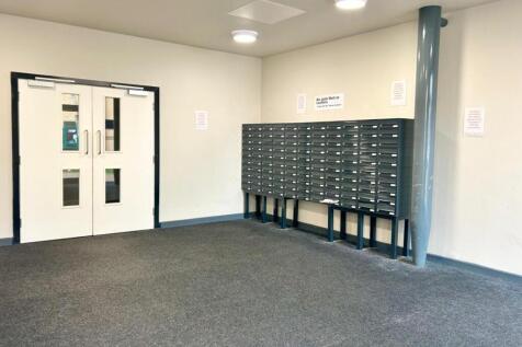 PHOTO-2025-03-10-12-17-31 (4).jpg