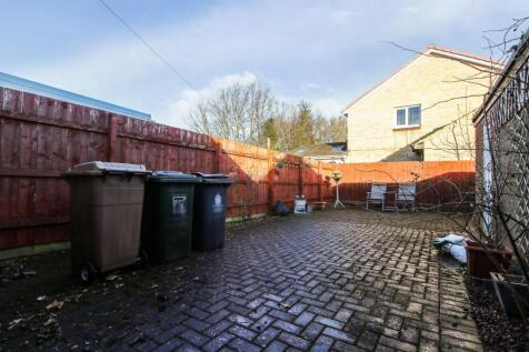 Rear Yard