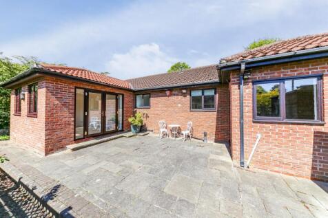 Rear Yard