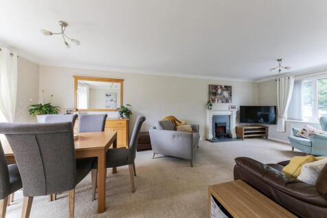 Living / Dining Area