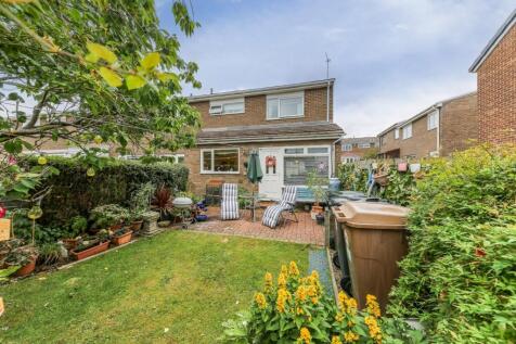 Rear Gardens