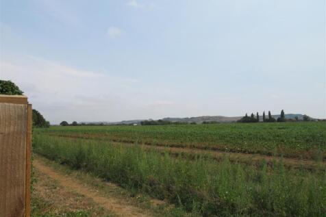 IMG_8499.JPG