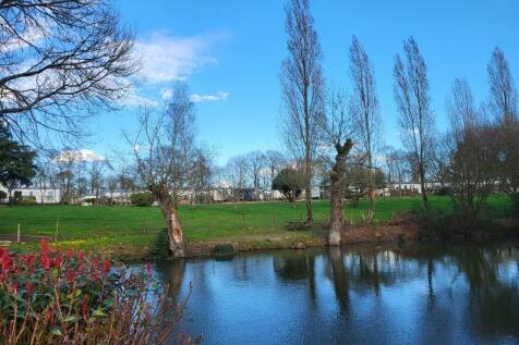 Carp pool 