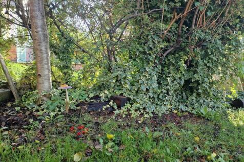 Property Image 25