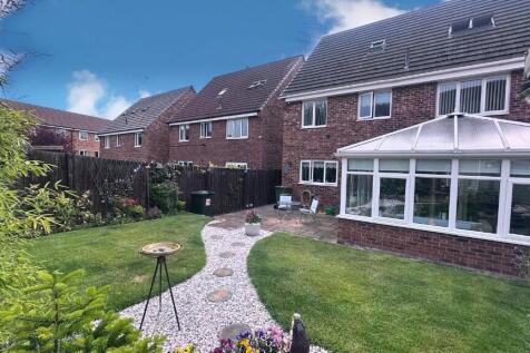 Property Image 19