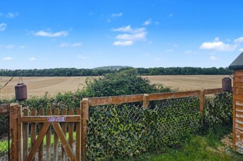 Sycamore Road - Garden View