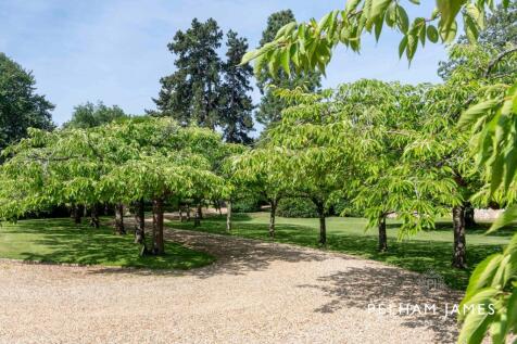 Tree-Lined Approach, Uffington Manor, Uffington