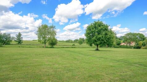Irnham Park Paddock, Cherry Holt, Irnham