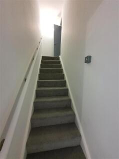 20201102_123246.jpg