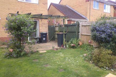 DSCF0341.JPG