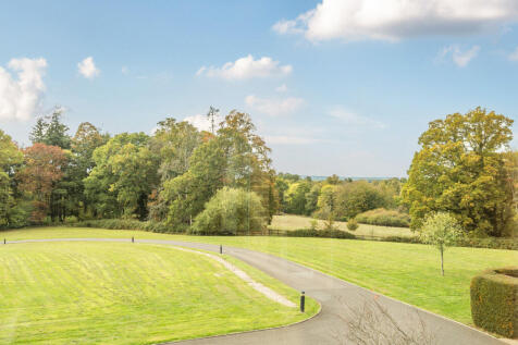 1369336-12-68f22b...