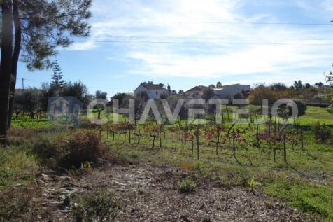 Property Image 74