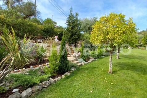Property Image 44