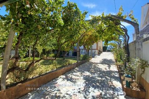 Property Image 55