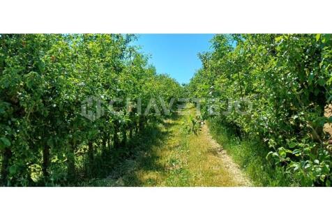 Property Image 63