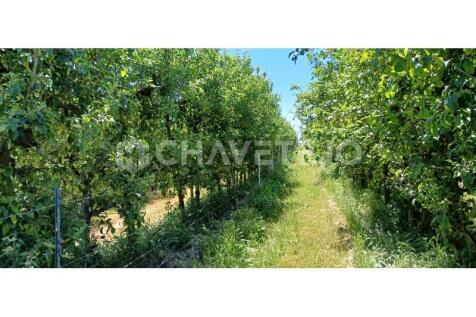 Property Image 64