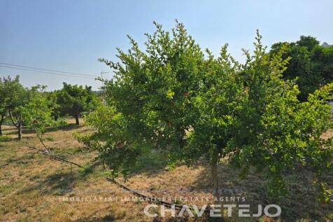 Property Image 101