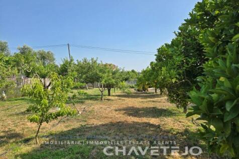 Property Image 102
