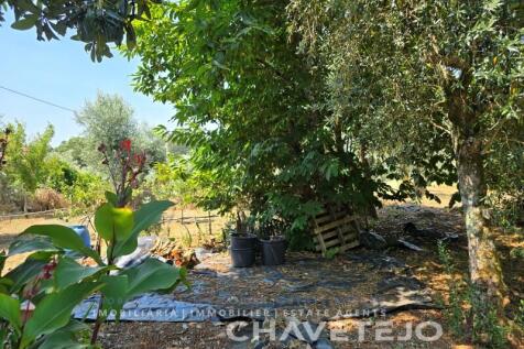 Property Image 56