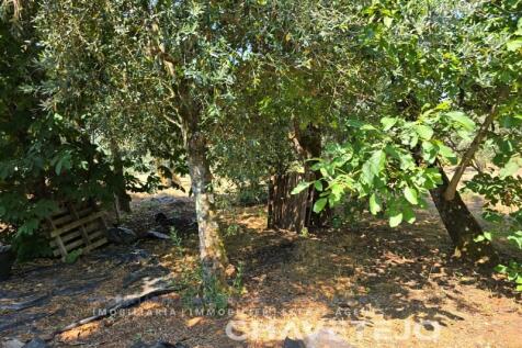 Property Image 57