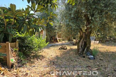 Property Image 59