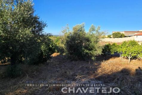 Property Image 74