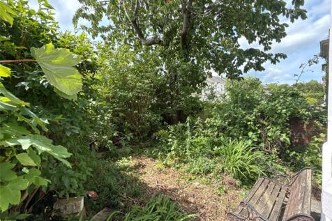 Rear Yard