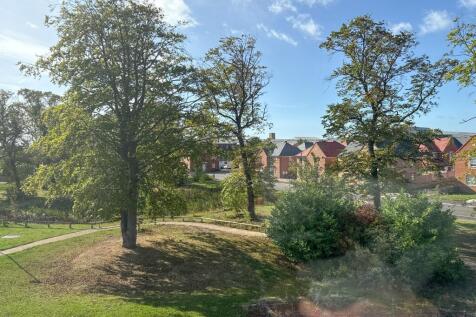 Surrounding Area