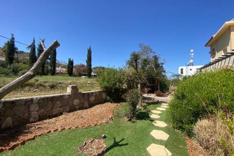 Property Image 39