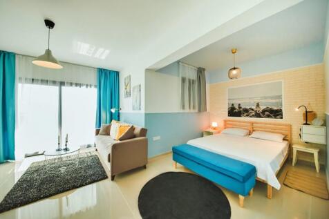 Property Image 101