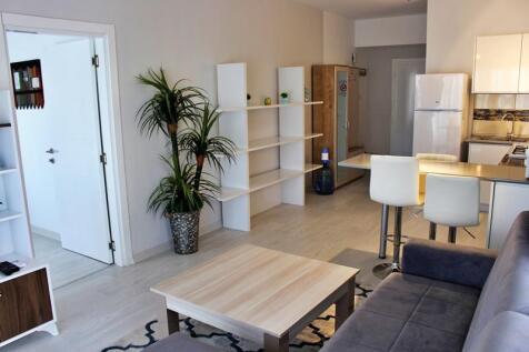 Property Image 74