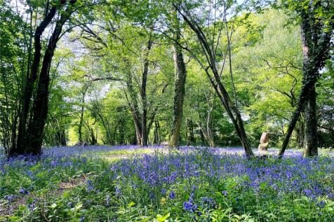 Woodland