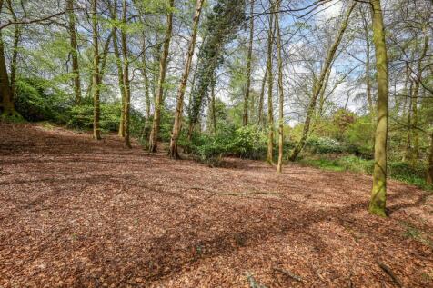 Property Image 34