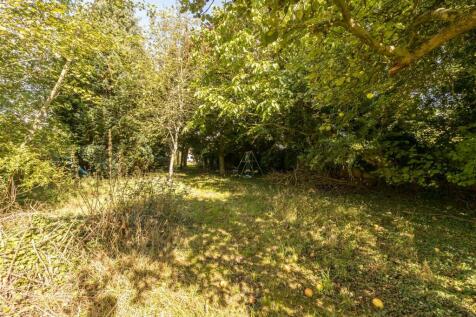 Wooded area near end of garden