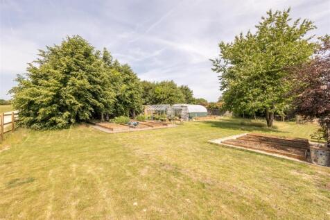 A serious kitchen garden