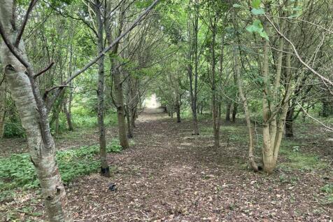 Your very own woodland