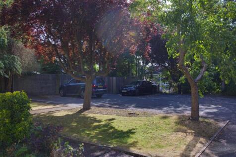 Comm Gardens /