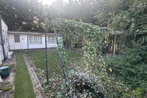 MEDIA_IMAGE_TEXT_08