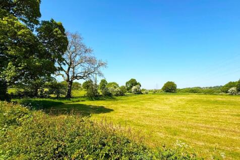 FIELD VIEWS