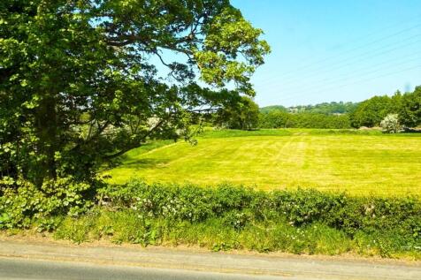 FIELD VIEWS