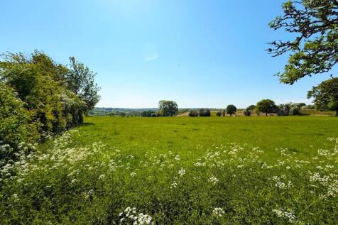 FIELD VIEWS