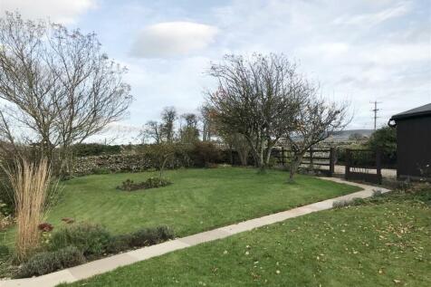Garden in Autumn.jpeg