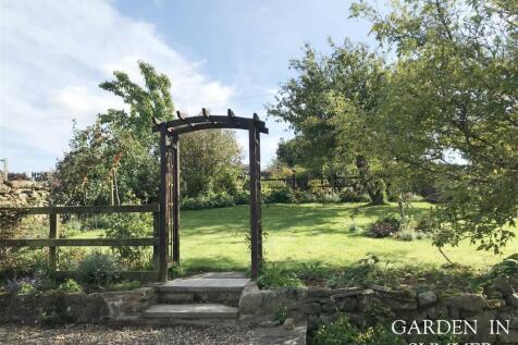 Garden in Summer 2.jpeg