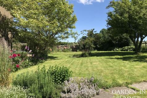 Garden in Summer.jpeg