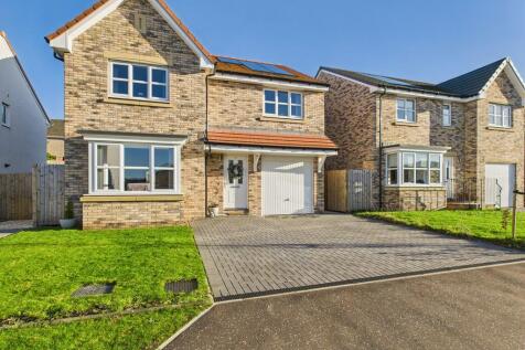 CAM05526G0-PR0066...