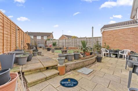 Back Garden