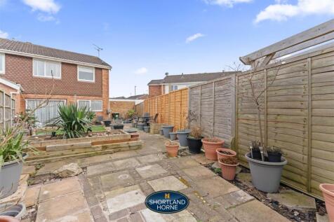 Back Garden