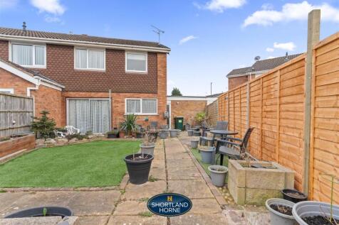 Back Garden