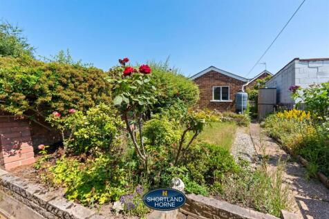 Back Garden