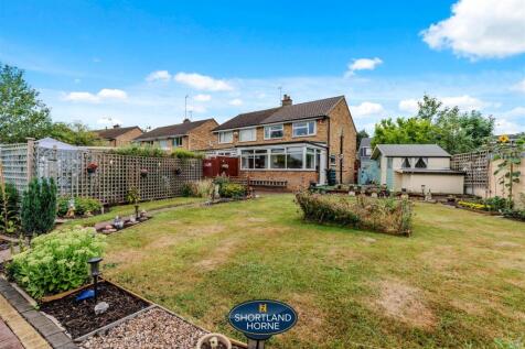 Back Garden